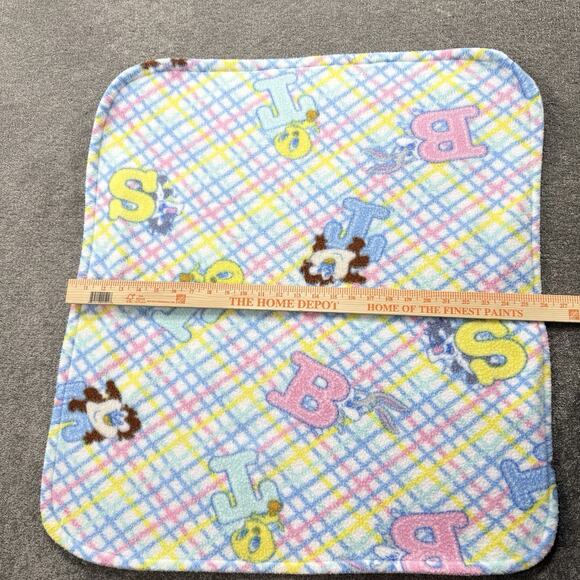 VTG Looney Tunes Baby Fleece Blanket Tweety Sylvester Taz Plaid Alphabet 28X26 - Picture 3 of 9
